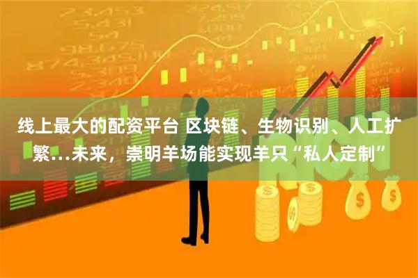 线上最大的配资平台 区块链、生物识别、人工扩繁…未来，崇明羊场能实现羊只“私人定制”