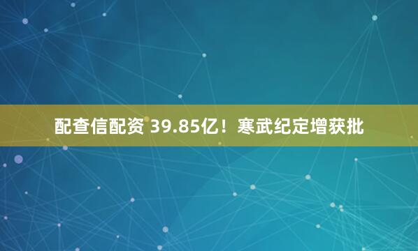 配查信配资 39.85亿！寒武纪定增获批