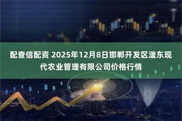 配查信配资 2025年12月8日邯郸开发区滏东现代农业管理有限公司价格行情