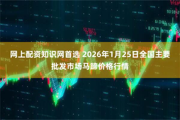 网上配资知识网首选 2026年1月25日全国主要批发市场马蹄价格行情