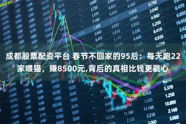 成都股票配资平台 春节不回家的95后：每天跑22家喂猫，赚8500元,背后的真相比钱更戳心