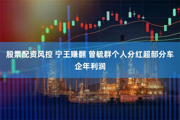 股票配资风控 宁王赚翻 曾毓群个人分红超部分车企年利润