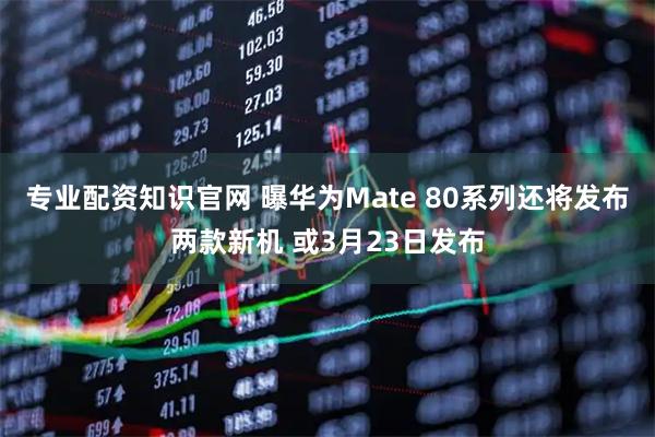 专业配资知识官网 曝华为Mate 80系列还将发布两款新机 或3月23日发布